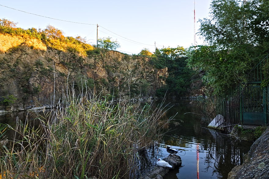 Turns Out That There Is A Hidden Lake Inside The City, With Exotic Duck Species