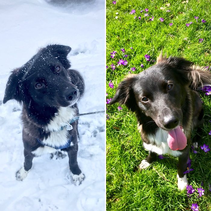 Ellie – First Snow And First Day Of Spring, Just One Week Apart