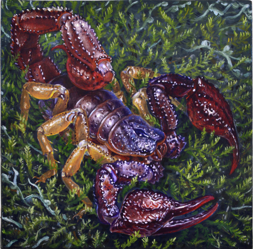 Scorpion (4 x 4, Oil On Panel, 2017)