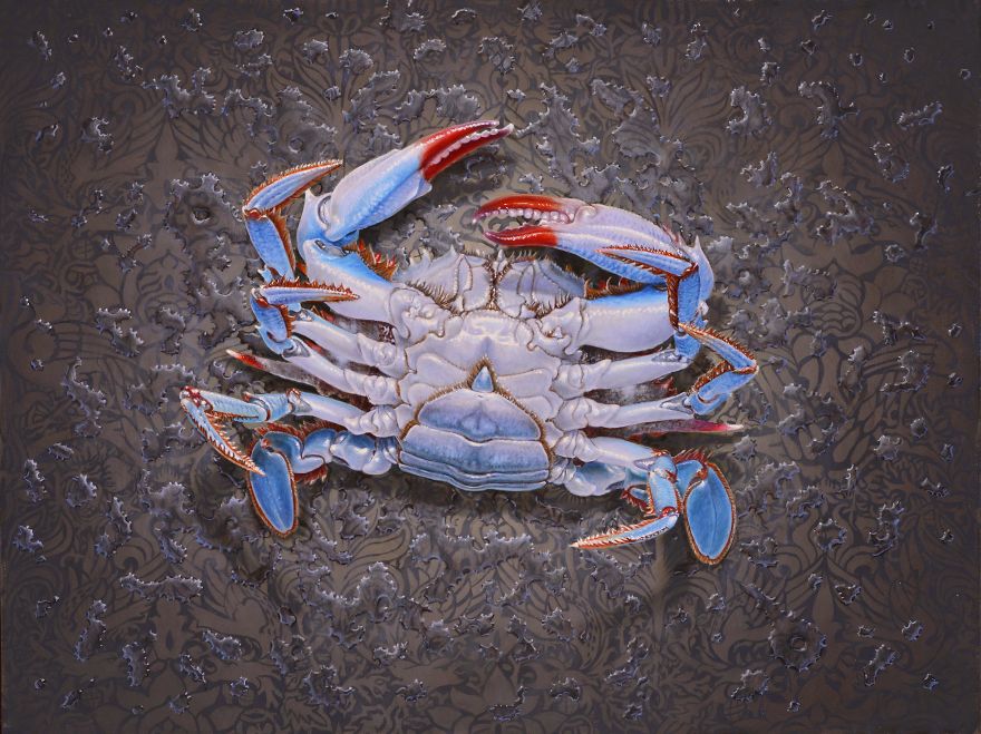 Blue Crab (12 x 16, Oil On Panel, 2020)