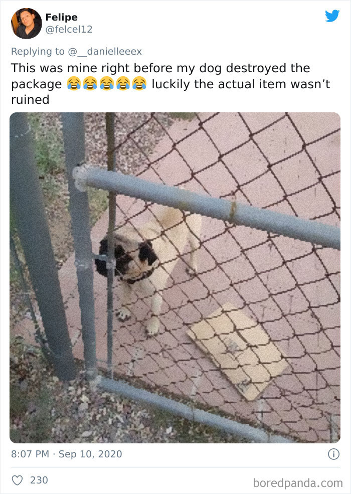 People Are Sharing How Amazon 'Hides' Their Deliveries In A Hilarious Twitter Thread
