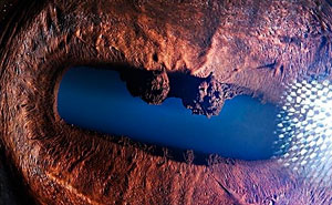 Armenian Photographer Captures Just How Unique Animal Eyes Are (30 Pics)