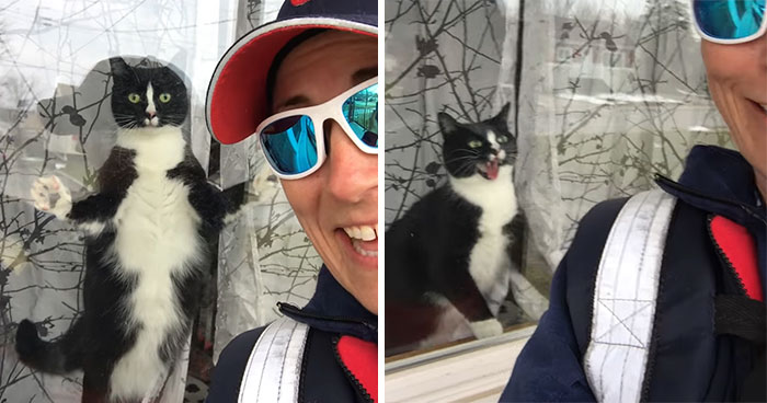 Mail Carrier Hilariously Documents How This Cat ‘Protects’ Its Domain Every Day