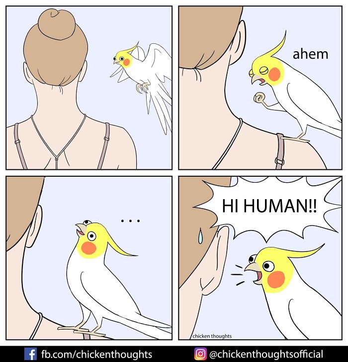 Chicken-Thoughts-Comics