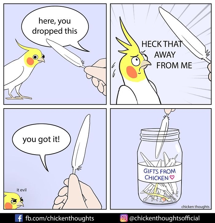 Chicken-Thoughts-Comics