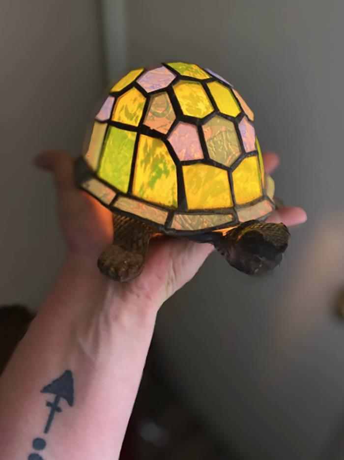 My Turtle Lamp!! I Absolutely Love This. Got For 5$ At A Yard Sale!