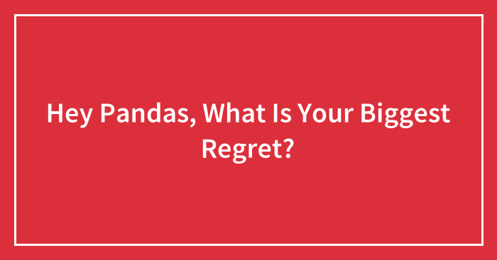 Hey Pandas, What Is Your Biggest Regret? (Ended)