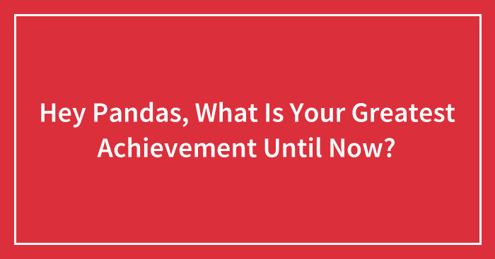 Hey Pandas, What Is Your Greatest Achievement Until Now? (Ended)