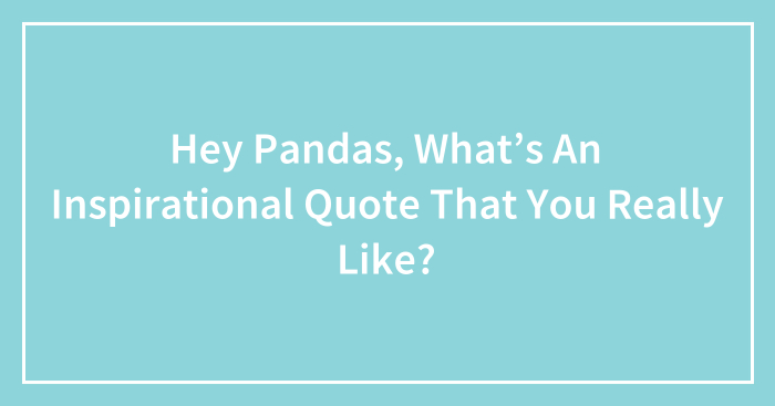Hey Pandas, What’s An Inspirational Quote That You Really Like? (Ended)
