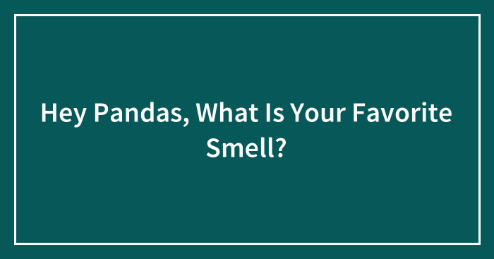 Hey Pandas, What Is Your Favorite Smell? (Closed)
