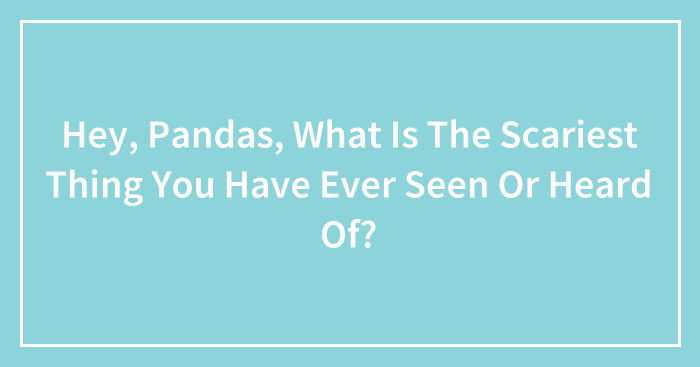 Hey, Pandas, What Is The Scariest Thing You Have Ever Seen Or Heard Of? (Closed)