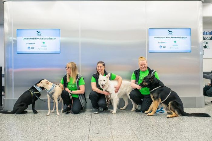 Turns Out, Helsinki Airport Uses Dogs To Sniff Out Coronavirus And It's Faster Than Lab Testing