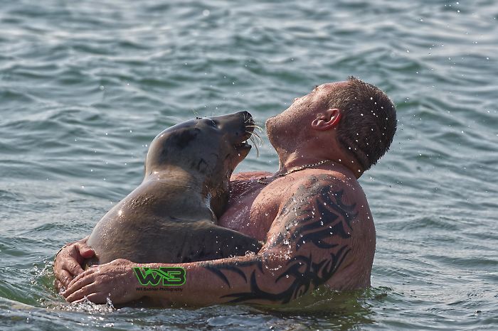 Sammy The Seal Is So Outgoing, He's Making Human Friends At The Beach