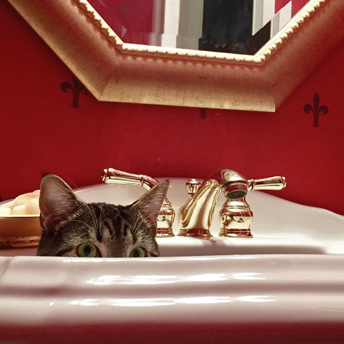 He Likes To Creep On Me When I'm Using The Bathroom