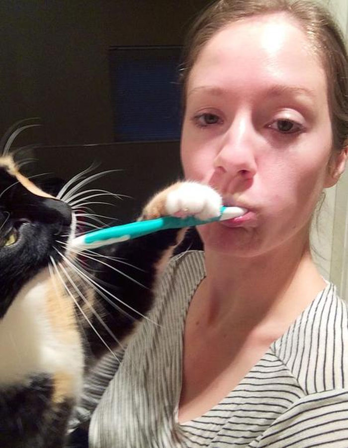 Todas las mañanas cuando me lavo los dientes