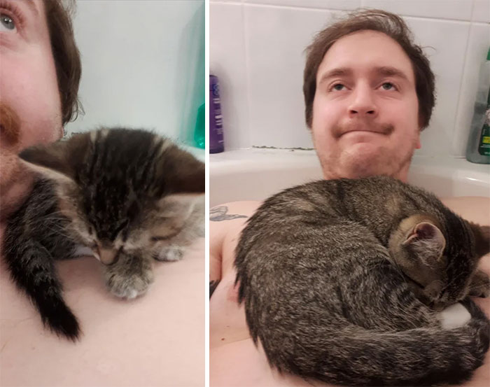 The First Day I Got My Kitten, I Took A Bath, She Somehow Managed To Hop The Tub And Take A Snooze On My Shoulder