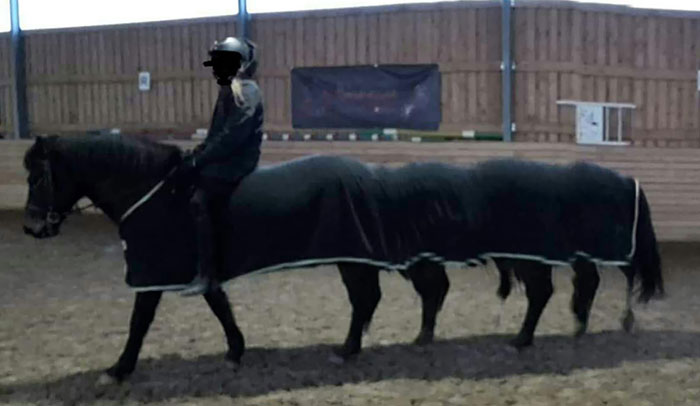 Un caballo largo (captado en una foto panorámica)