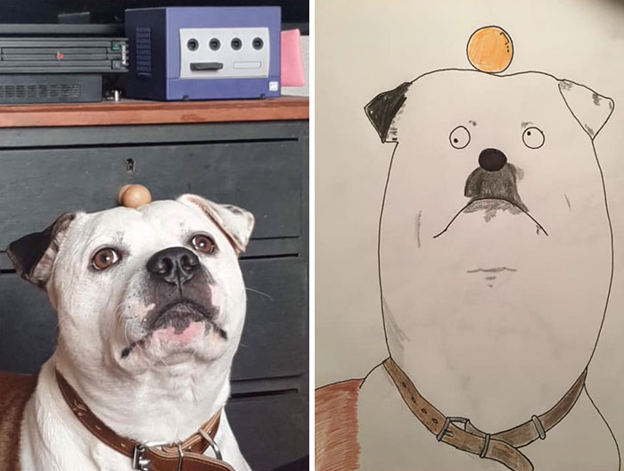 I Have Never Drawn In My Life, But I Am Doing Crappy Pet Portraits To Raise Money For Charity (30 Pics)
