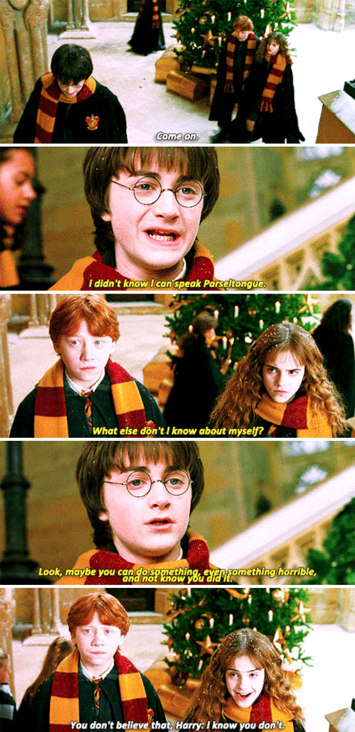Harry Doubts Himself, But Ron And Hermione Don't (Chamber Of Secrets)