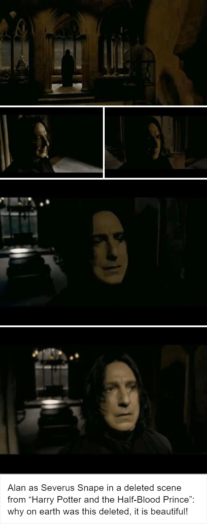 Snape's Contemplative Scene (Half Blood Prince)