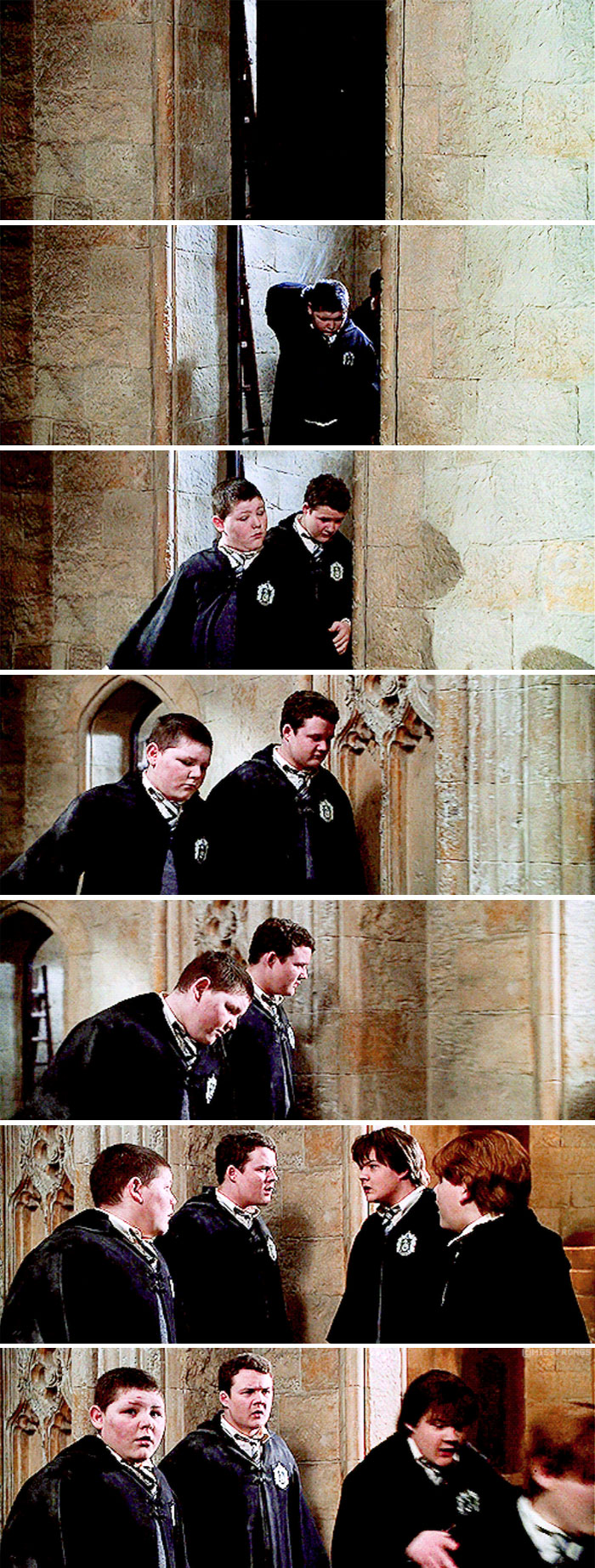 Close Encounter With Crabbe And Goyle (Chamber Of Secrets)