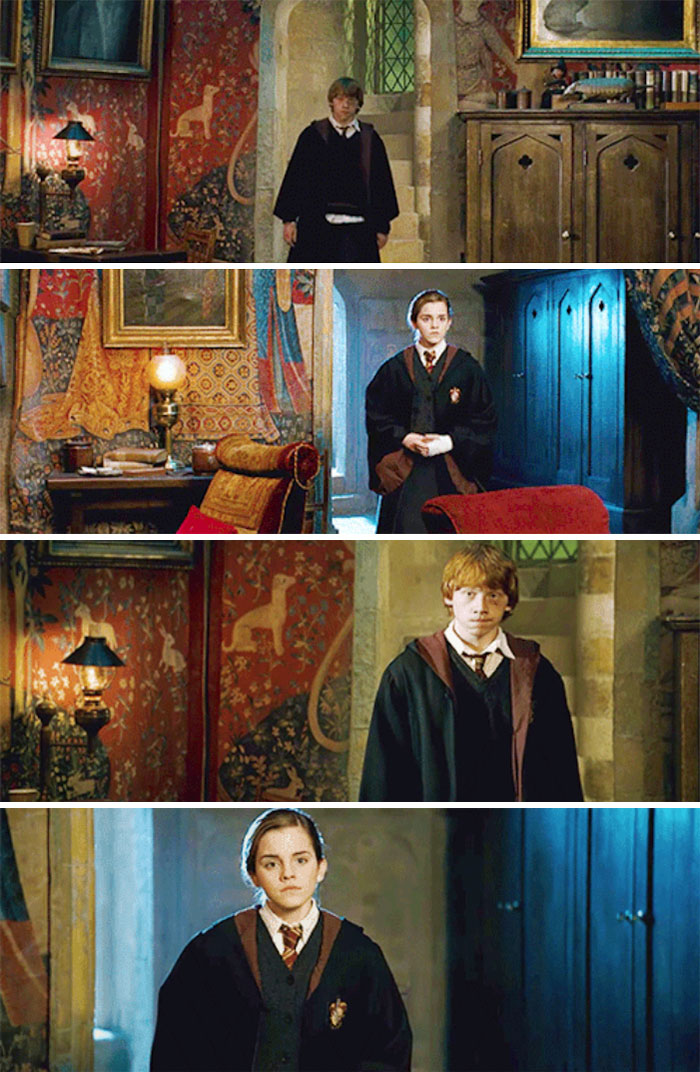 Ron And Hermione Worry About Harry After Checking On Him (Order Of The Phoenix)