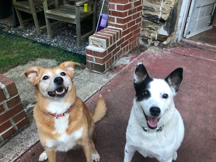 This Is Starr With Her Sister Shelby, They’re Both 7 Years Old