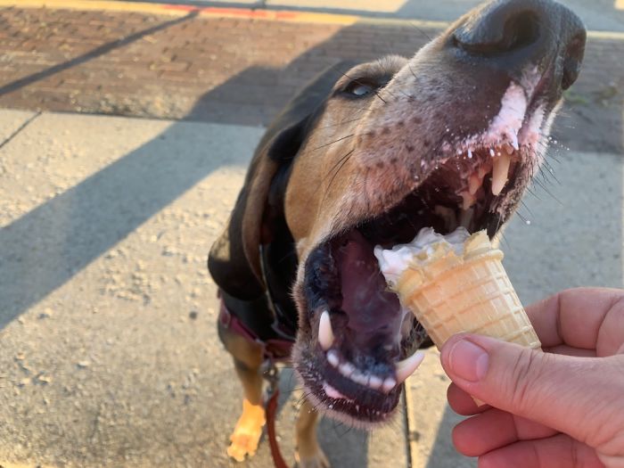 Mmmmmmmm Ice Cream!!