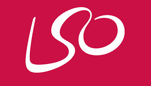 lso-5f6adf737c306.png