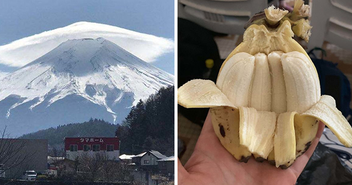 50 ‘Mildly Interesting’ Things Spotted In Nature That Are Actually Surprising