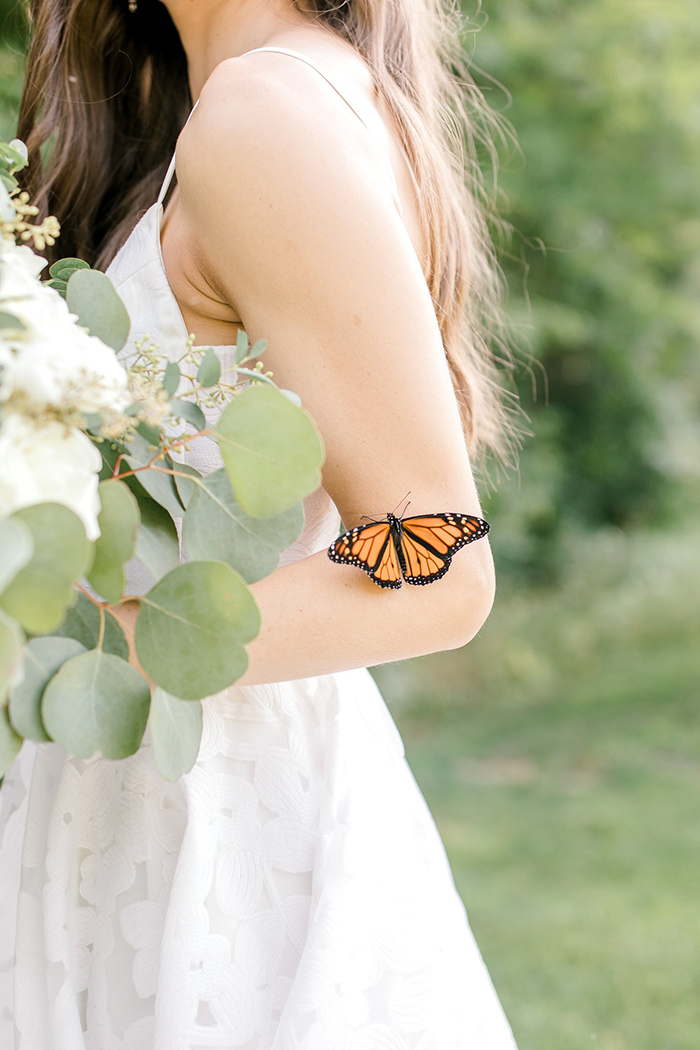 Couple's Wedding Photoshoot Gets A Fairytale-Like Twist After A Monarch Butterfly Joins In