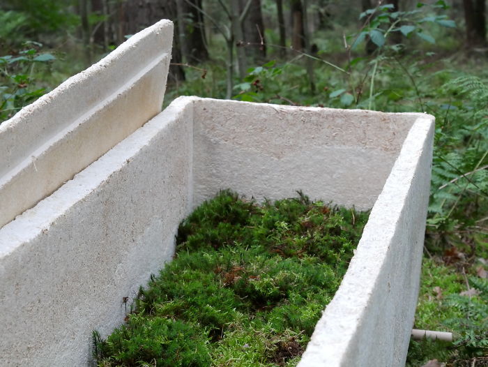 This Guy Created A $1,750 Mushroom Coffin That Turns Your Body Into Compost In Less Than 3 Years