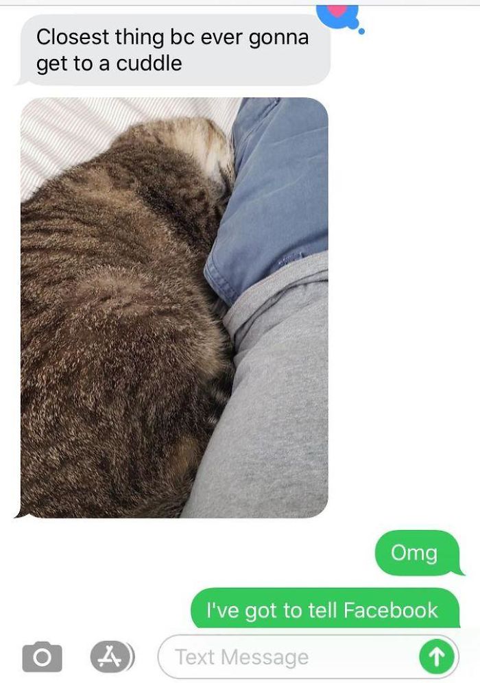 You Guys. I Just Got This Text About Brown Cat. Not Only Is He Doing An Actual Cuddle, But It’s With The Person That Tried To Throw Away His Butter