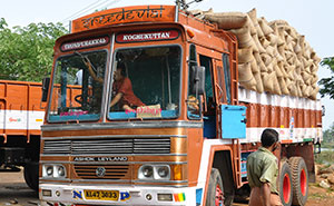 Indian Man Gets Tired Of Buying Rice Every Day, Orders A Whole Truck To Their Home, Hilarity Ensues