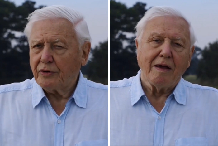 94-Year-Old Sir David Attenborough Officially Joins Instagram And His Follower Count Is Growing Insanely Fast