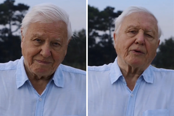 94-Year-Old Sir David Attenborough Officially Joins Instagram And His Follower Count Is Growing Insanely Fast