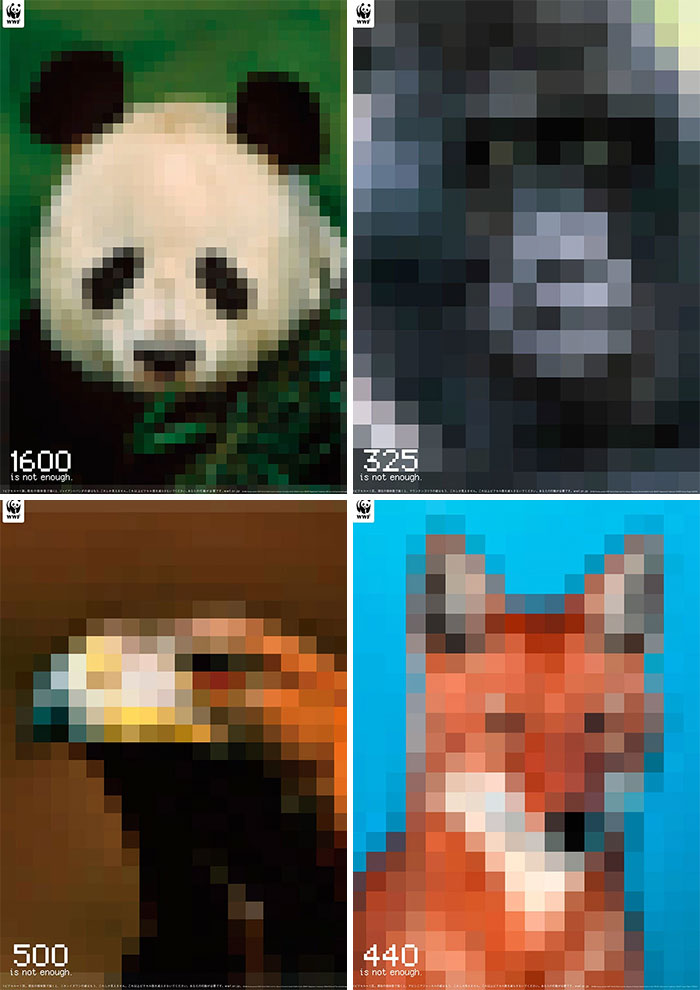 Cada foto tiene tantos píxeles como ejemplares quedan de esa especie amenazada. Diseño de Yoshiyuki Mikami