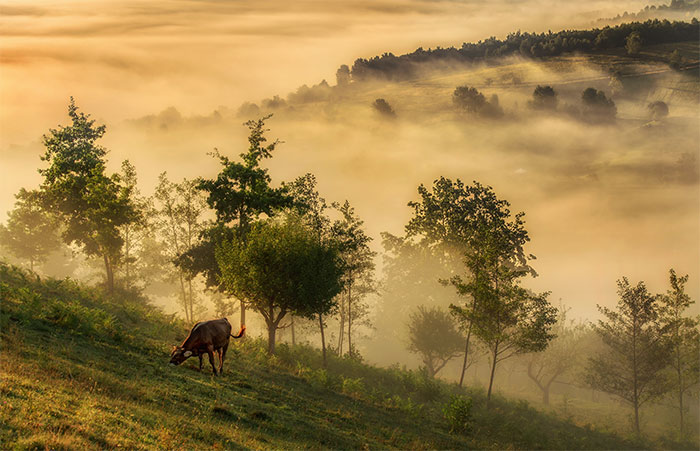 I Spent Summer In My Hometown Maramures, Which Looks Like A Fairy Tale (28 Pics)