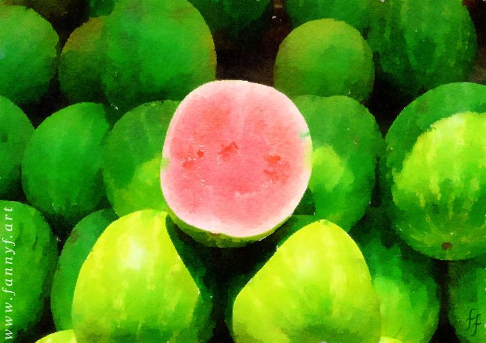 Big Melons On Display