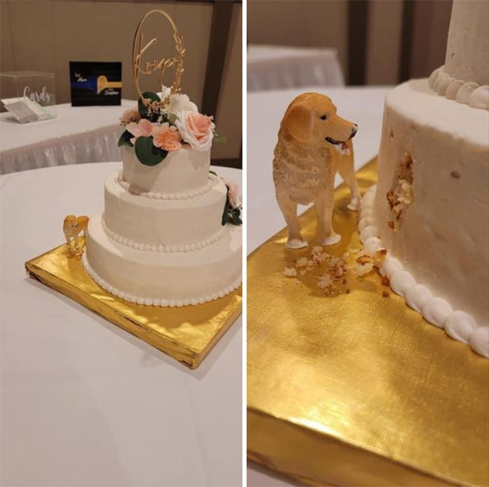 This Very Accurate Dog Owners Wedding Cake