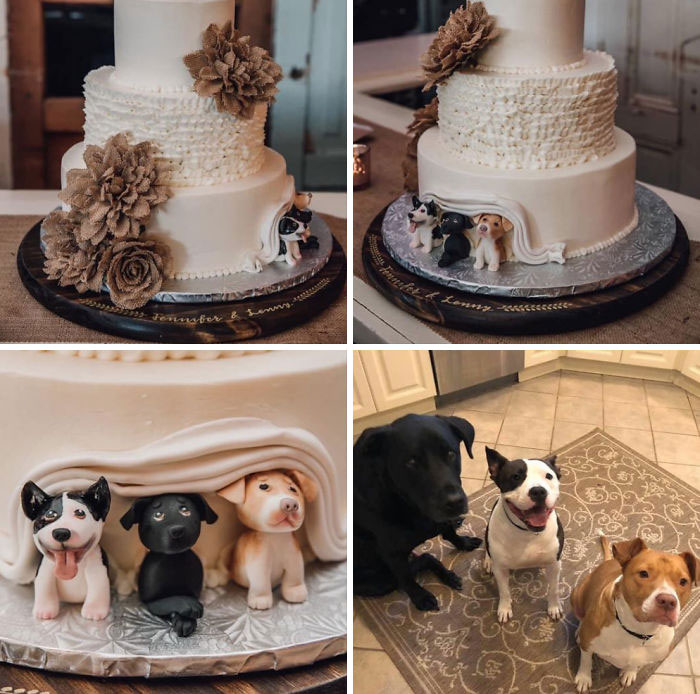 The Perfect Wedding Cake For Dog Owners