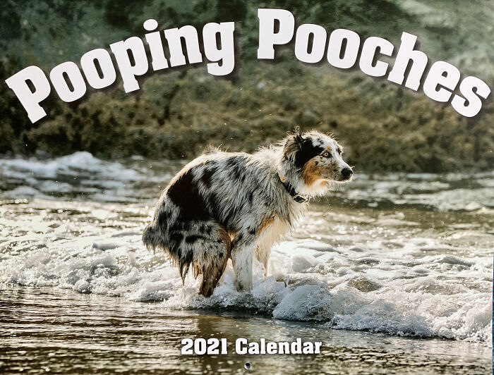 2021 Pooping Dogs Calendar Is Finally Here, And This Year Contains A