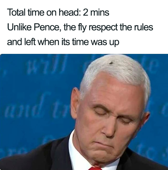 Funny-Mike-Pence-Fly-Landing-Reactions