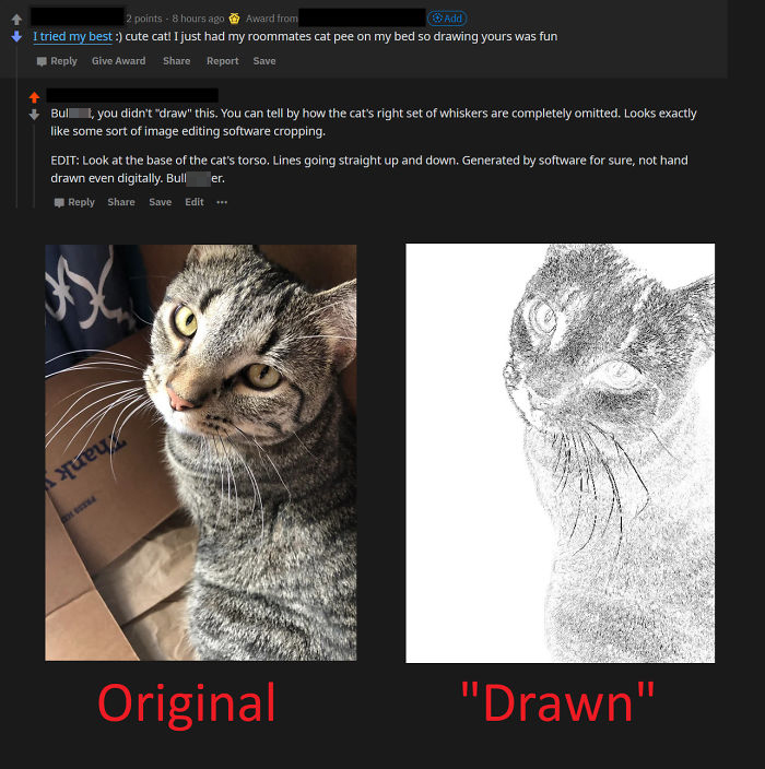 Redditor Gets Gold Award For "Drawing" A Picture Of A Cat