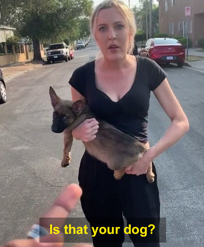 Woman Throws A Puppy At A Man, He Refuses To Give It Back And Shares How Happy The Doggy Is Now