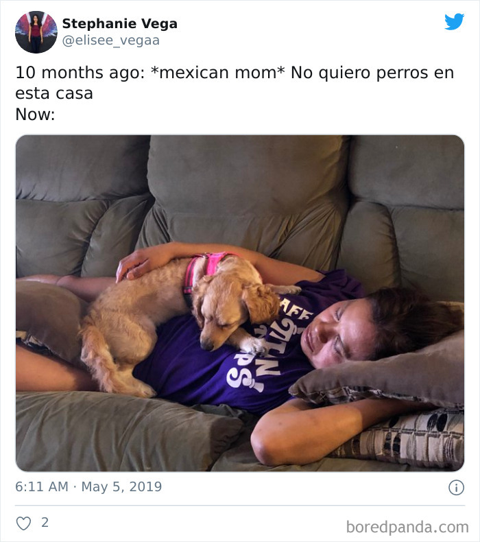 Latina-Moms-Who-Did-Not-Want-A-Dog