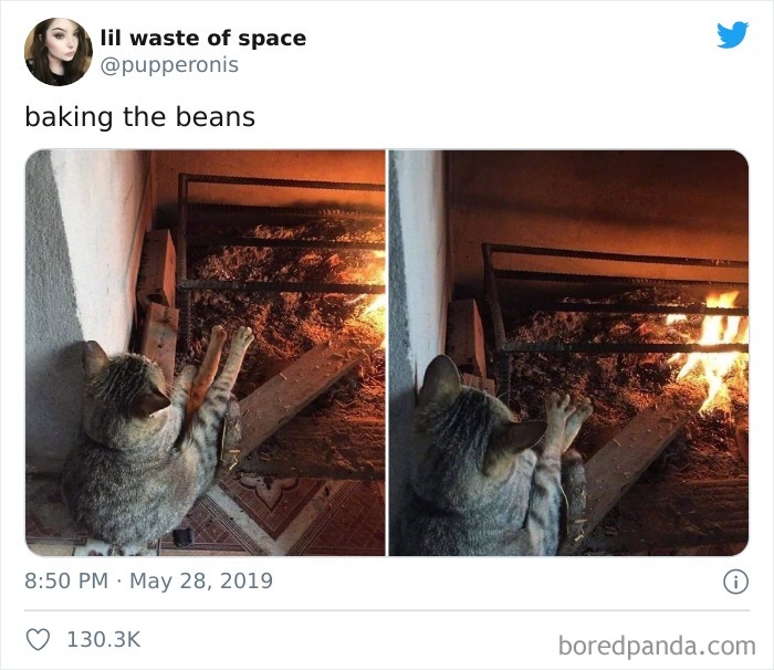 Baking The Beans