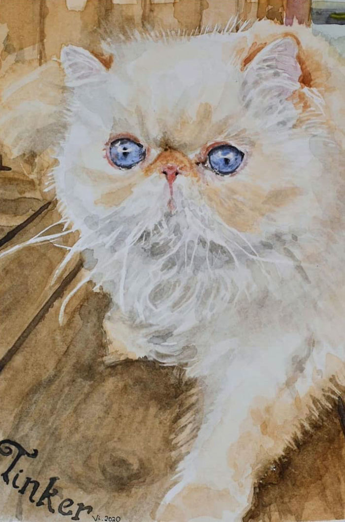 Tinker, A Persian Kitty Cat In Watercolor