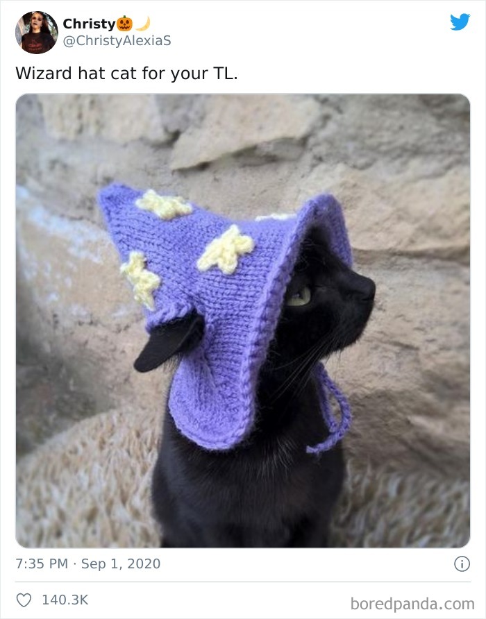 Wizard Hat Cat For Your Tl.