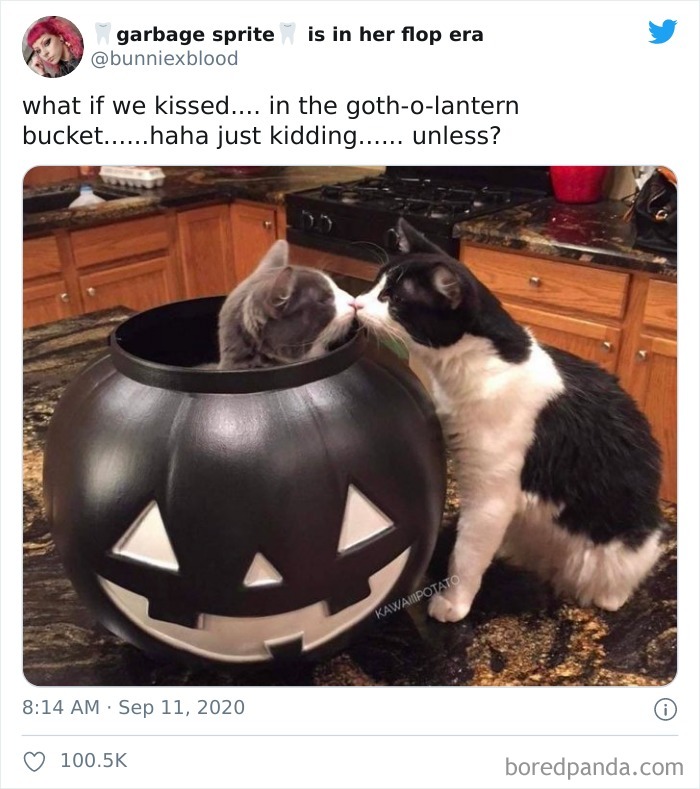 What If We Kissed.... In The Goth-O-Lantern Bucket......haha Just Kidding...... Unless?